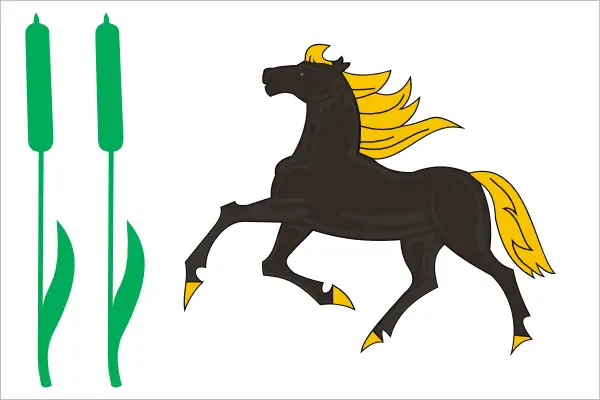 Флаг: Камышлинский район